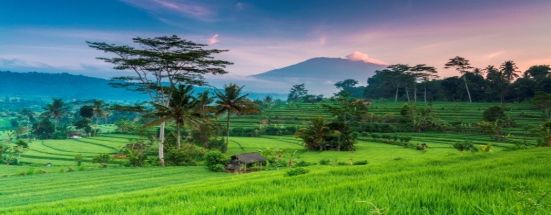 home_page_3_1073x419